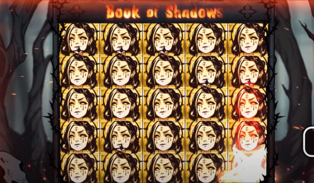 Book of Shadow